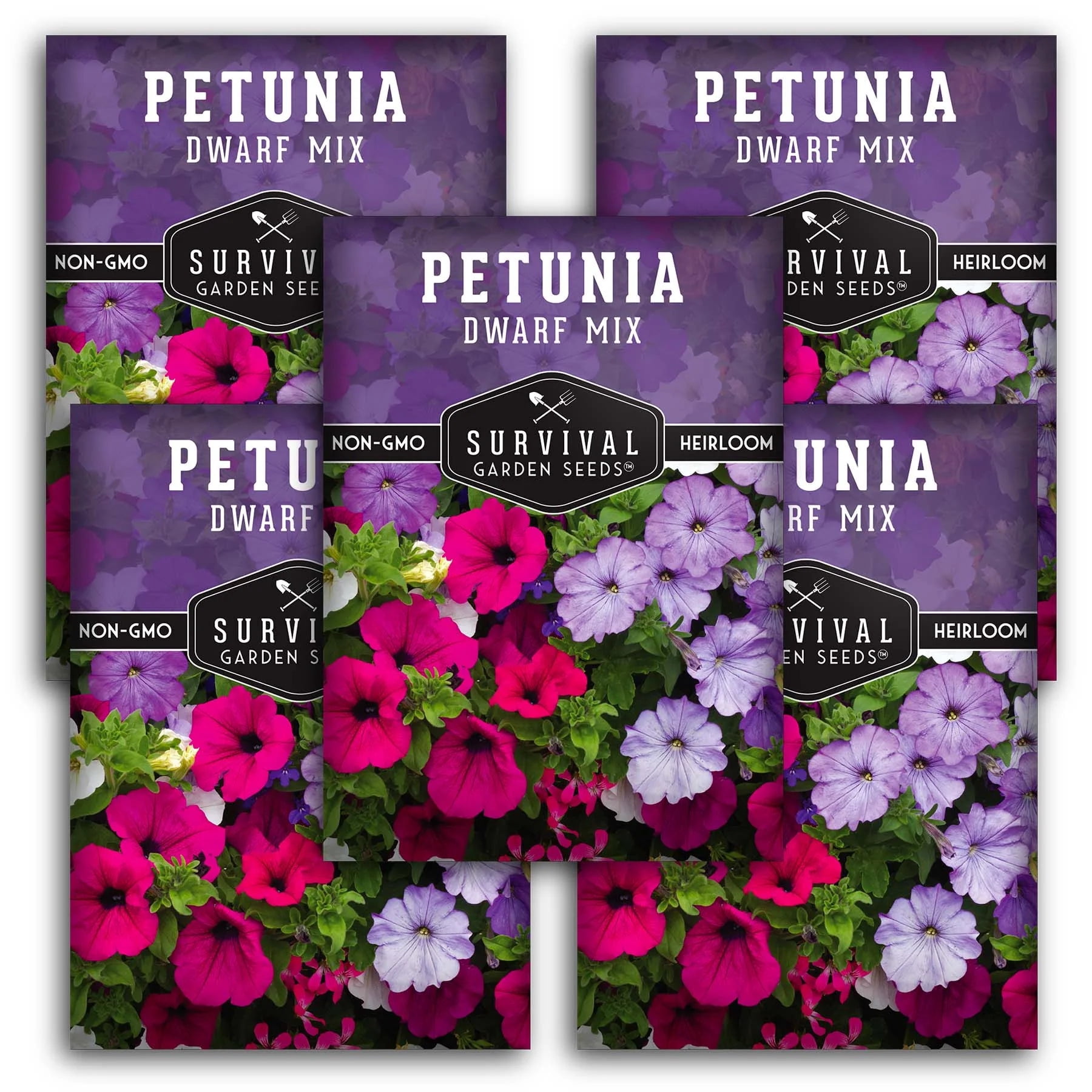 5 Packs Dwarf Petunia Seed Mix - Non-GMO, Heirloom, Full Sun Biennial ...