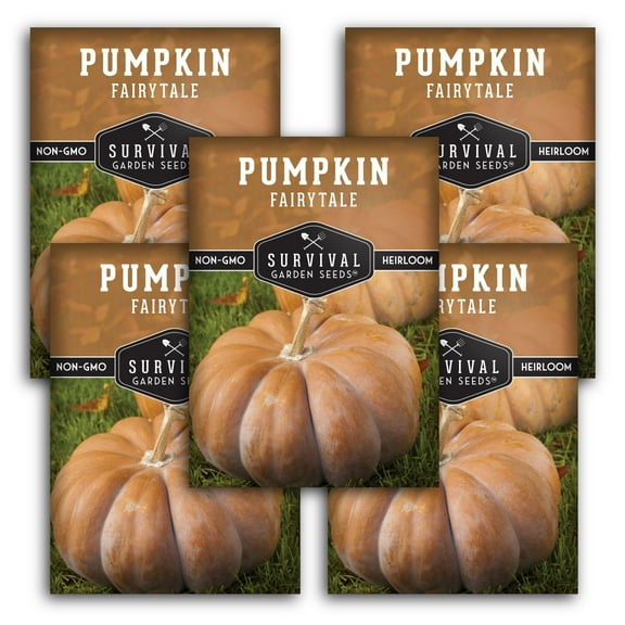 5 Packs Fairy Tale Pumpkin Seeds - Non-GMO Heirloom Full Sun Annual Vegetable
