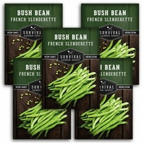 5 Packs French Slenderette Bean Seeds - Haricots Verts - Heirloom Non GMO Annual Full Sun Vegetable