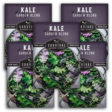 5 Packs Garden Blend Kale Seeds - Non-GMO Heirloom Full Sun Biennial Vegetable