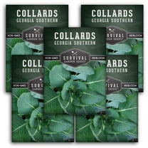 5 Packs Georgia Southern Collard Greens Seed - Non-GMO Heirloom Full Sun Biennial Vegetable