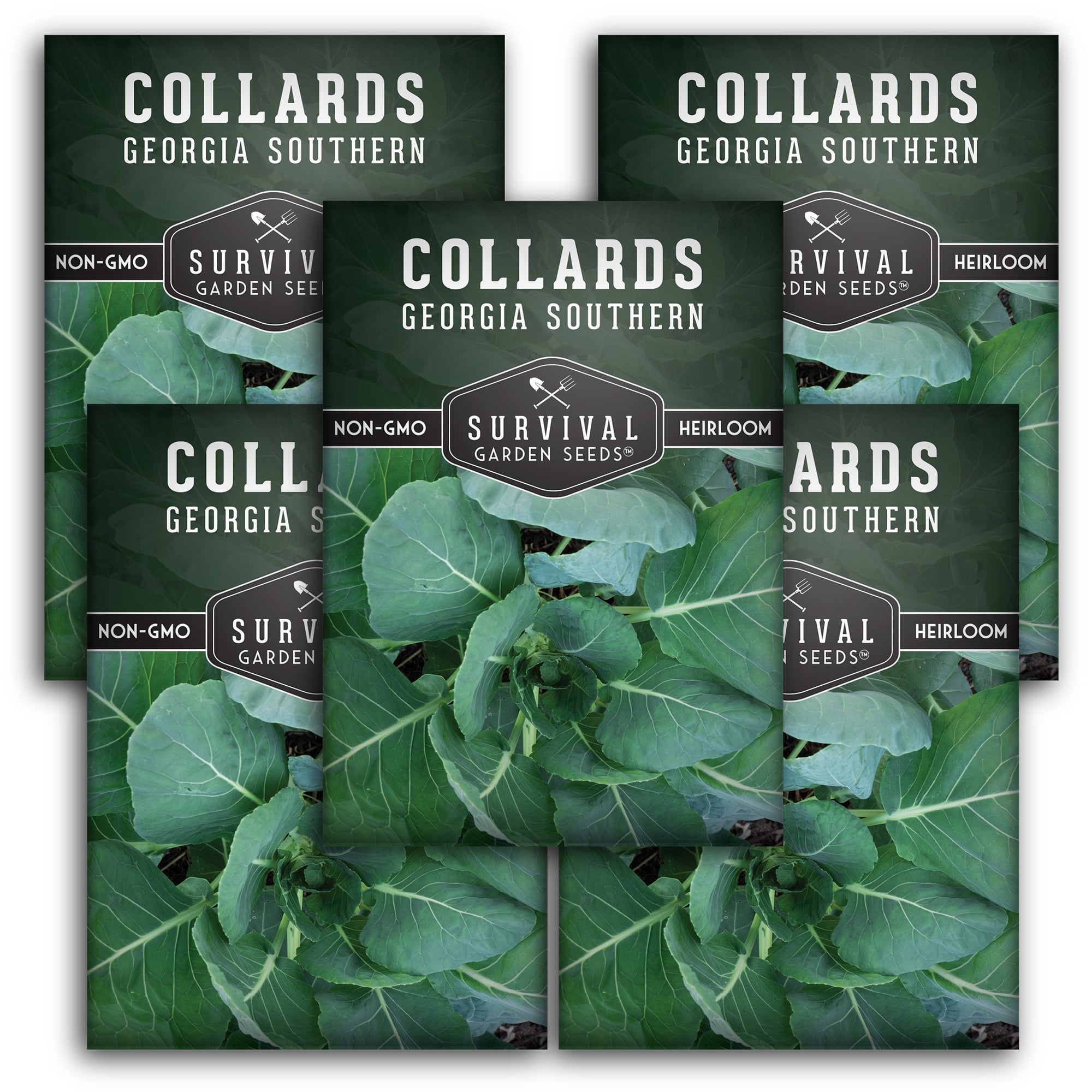 5 Packs Southern Collard Greens Seed NonGMO Heirloom Full