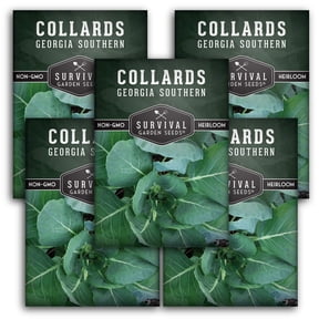5 Packs Georgia Southern Collard Greens Seeds - Full Sun Biennial Vegetable