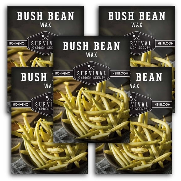 Golden Wax Bush Bean Seeds - Full Sun Annual Vegetable (5 Pack)