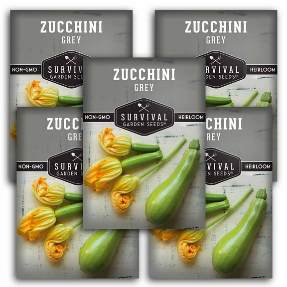 5 Packs Grey Zucchini Seeds - Non-GMO Heirloom Full Sun Annual Vegetable