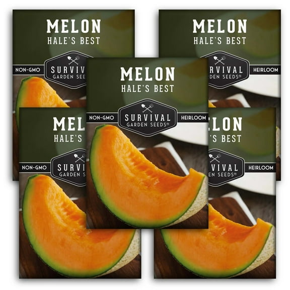 5 packs Hale's Best Melon Seed - Non-GMO Heirloom Full Sun Annual Vegetable