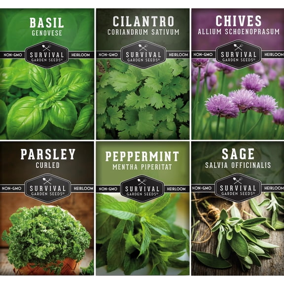 Hydroponic Herb Seeds 5 Pack - Full Sun, Annuals & More