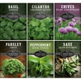 thumbnail image 1 of 5 Packs Hydroponic Herb Seed - Sage, Peppermint, Parsley, Chives, Cilantro, Basil - Full Sun Annual & More, 1 of 7