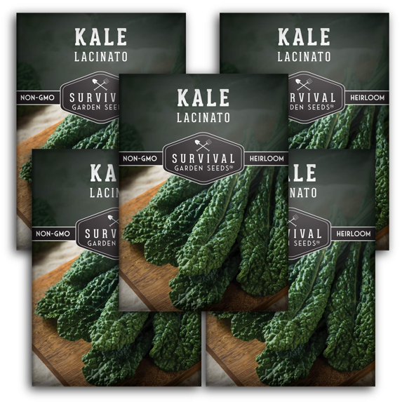 5 Packs Lacinato Kale Seeds - Non-GMO Heirloom Biennial Full Sun Vegetables