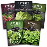 Lettuce Seeds Variety Pack - 5 Types - Full Sun Annual Vegetable