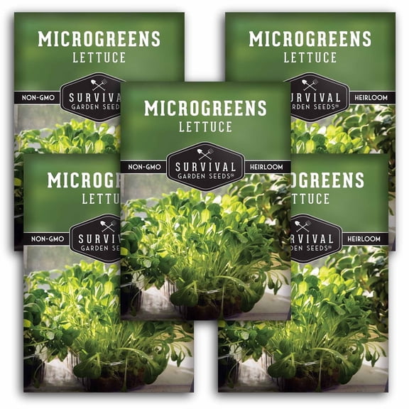 Lettuce Microgreens Seeds for Sprouting - Non-GMO Heirloom Annual Full Sun - 5 Packs