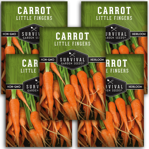 5 Packs Little Fingers Carrot - Non-GMO Heirloom Vegetable Seeds - Full Sun Biennial