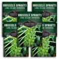 thumbnail image 1 of 5 Packs Long Island Improved Brussels Sprouts Seeds - Non-GMO Heirloom Full Sun Biennial Vegetable, 1 of 6