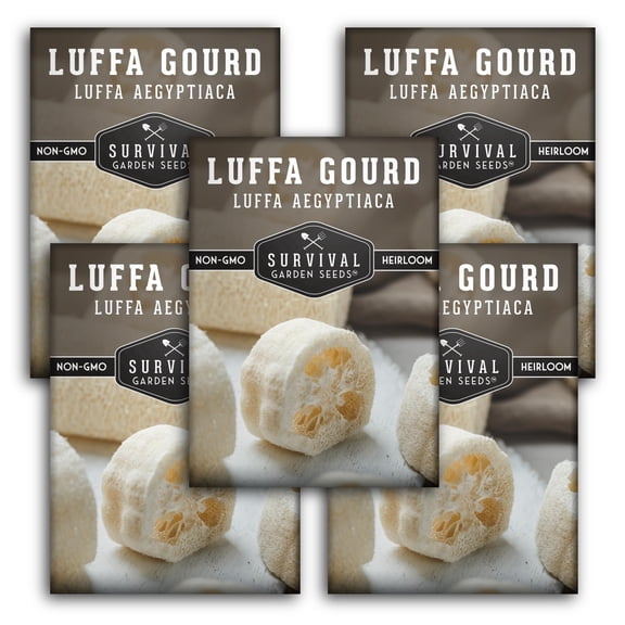 Luffa Gourd Loofah Seeds - Full Sun Annual Vegetable - 5 Packs