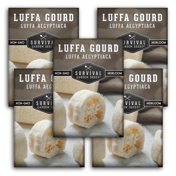Luffa Gourd Loofah Seeds - Full Sun Annual Vegetable - 5 Packs