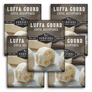 5 Packs Luffa or Loofah Seeds - Non-GMO Heirloom Full Sun Annual