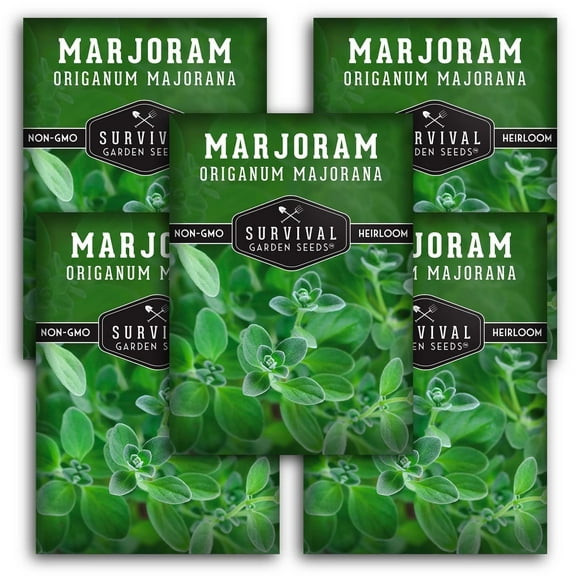 5 packs Marjoram Seeds - Non-GMO Heirloom Full Sun Perennial Herb