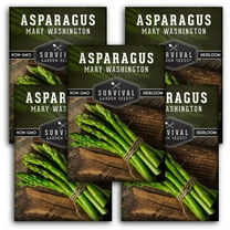 5 Packs Mary Washington Asparagus - Non-GMO Heirloom Vegetable Seeds - Full Sun Perennial