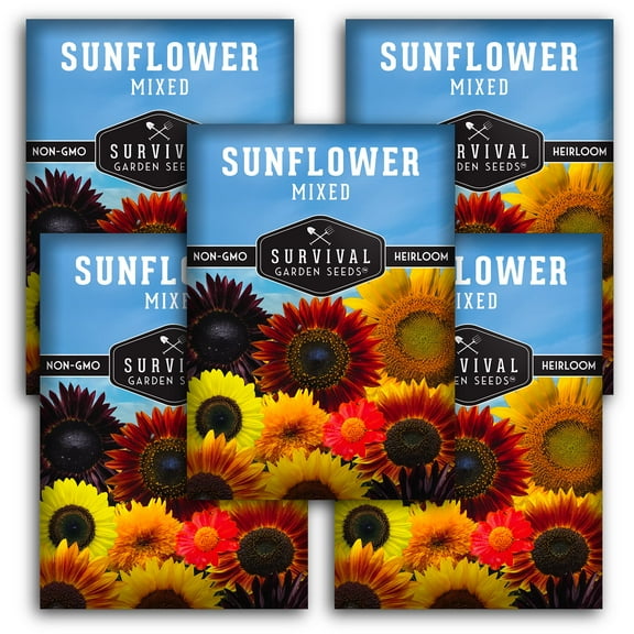 5 Packs Mixed Sunflower Seeds - Non-GMO Heirloom Full Sun Annual Flower