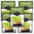 thumbnail image 1 of Mung Bean Microgreens Seeds - Heirloom Annual Full Sun Vegetable - 5 Packs, 1 of 6
