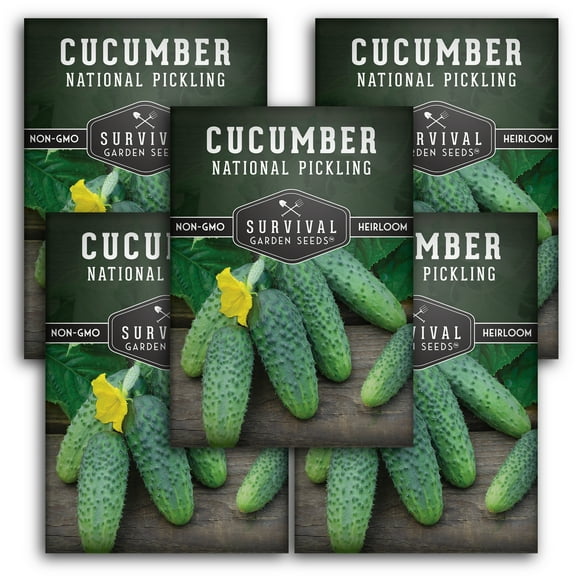 5 Packs National Pickling Cucumber - Non-GMO Heirloom Vegetable Seeds - Full Sun Annual