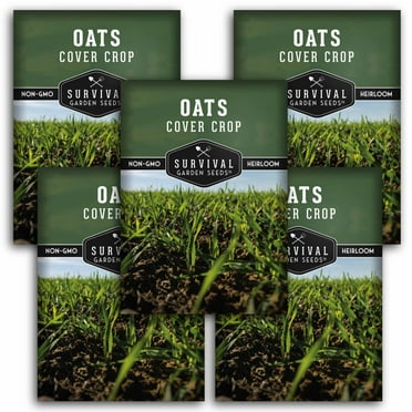 5 Packs Oats Cover Crop Seed - Non-GMO Heirloom Annual Full Sun