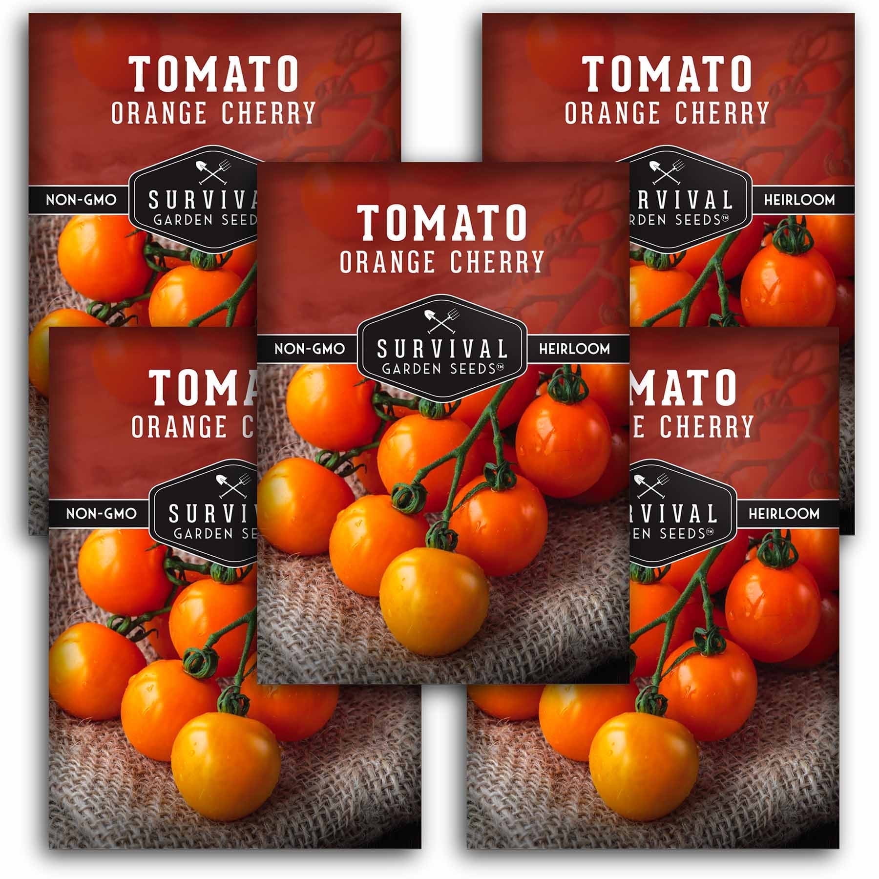tomato Amazon.com : Hossinator Hybrid Tomato Seeds (STM2255) F1