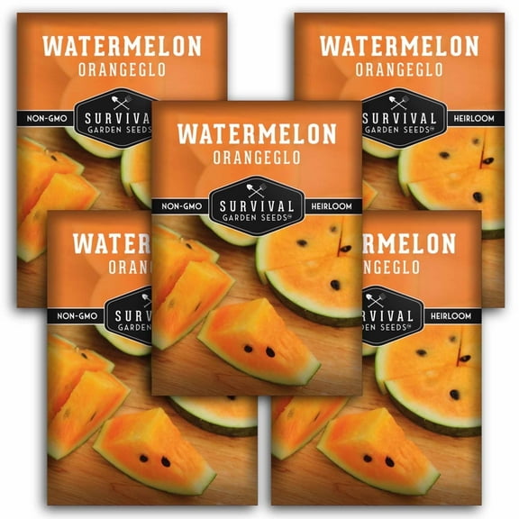 5 Packs Orangeglo Watermelon Seeds - Non-GMO Heirloom Annual Full Sun Vegetable