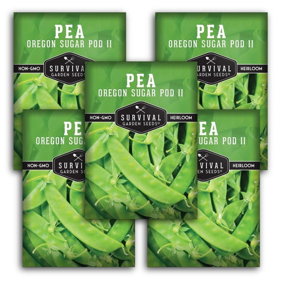 5 Packs Oregon Sugar Pod II Pea Seeds - Full Sun Annual Vegetable