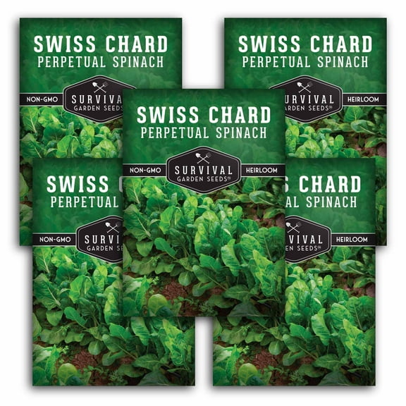 5 Packs Perpetual Spinach Swiss Chard Seeds - Non-GMO Heirloom Full Sun Biennial Vegetable