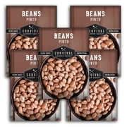 Pinto Bean Seeds - Annual Full Sun Vegetable 5 Pack