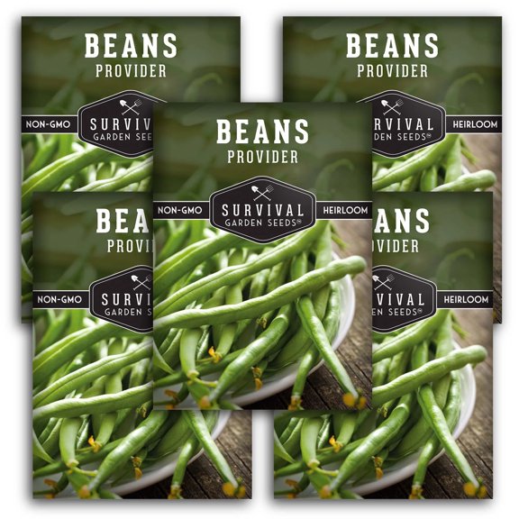 5 Packs Provider Bush Bean Seeds - Non-GMO Heirloom Full Sun Annual Vegetable