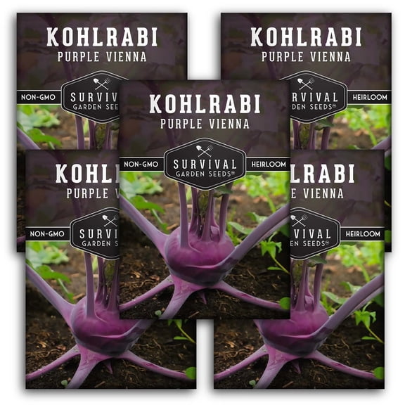 5 Packs Purple Vienna Kohlrabi Seeds - Full Sun Biennial Vegetable