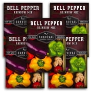 Rainbow Mix Bell Pepper Seeds - Full Sun Annual Vegetable - 5 Packs