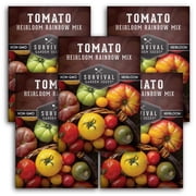 5 Packs Rainbow Blend Tomato Seeds - Full Sun Annual Vegetable