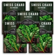5 Packs Rainbow Swiss Chard Seeds - Full Sun Annual Vegetable - 5 Packs