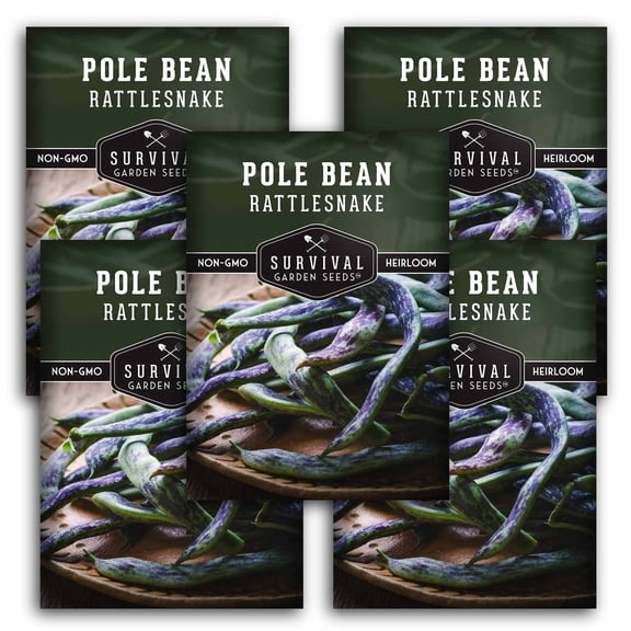 Rattlesnake Bean Seeds - Full Sun Annual Vegetable (5 Pack)