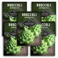 thumbnail image 1 of 5 Packs Romanesco Broccoli Seeds - Non-GMO Heirloom Full Sun Biennial Vegetable, 1 of 6