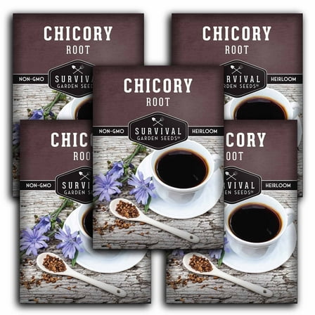 5 Packs Root Chicory Seeds - Coffee Chicory - Non-GMO Heirloom Perennial Full Sun Herb
