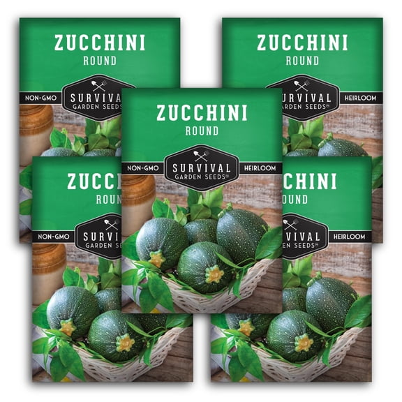 Round Zucchini Seeds - Full Sun Annual Vegetable - 5 Packs