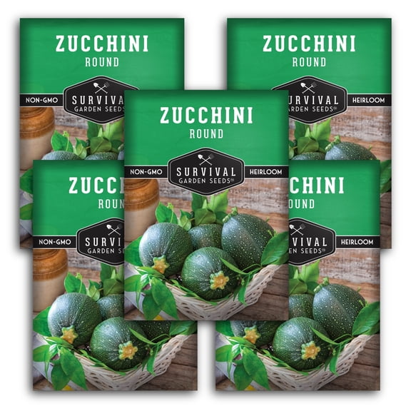 5 Packs Round Zucchini Seeds - Non-GMO Heirloom Full Sun Annual Vegetable
