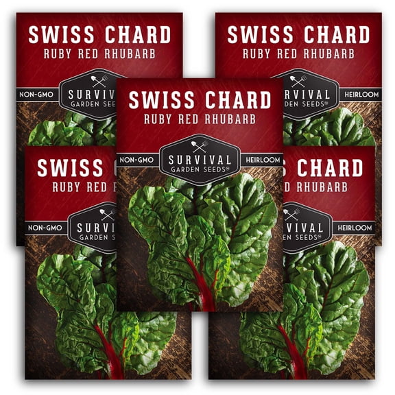 Ruby Red Rhubarb Swiss Chard Seeds - Heirloom Full Sun Annual Vegetable - 5 Pack