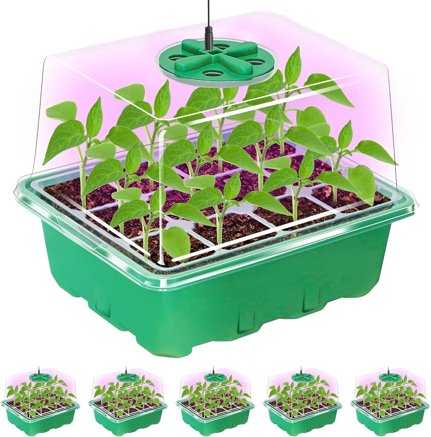 5 Packs Seed Starter Tray with Plant Light, Elevated Seedling Starter Trays Kits with Adjustable Humidity Domes and Clear Cell Tray, 12 Full Spectrum led lamp Beads for Plants Indoor-Green