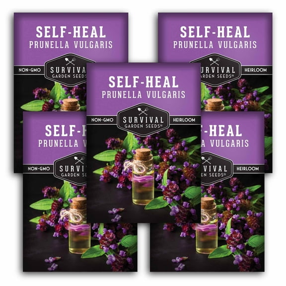 5 packs Self Heal Seeds - Non-GMO Heirloom Full Sun Perennial Herb