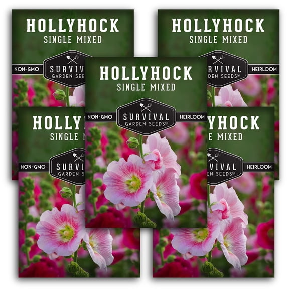 Single Mix Hollyhock Seeds - Heirloom Full Sun Biennial Flower - 5 Packs