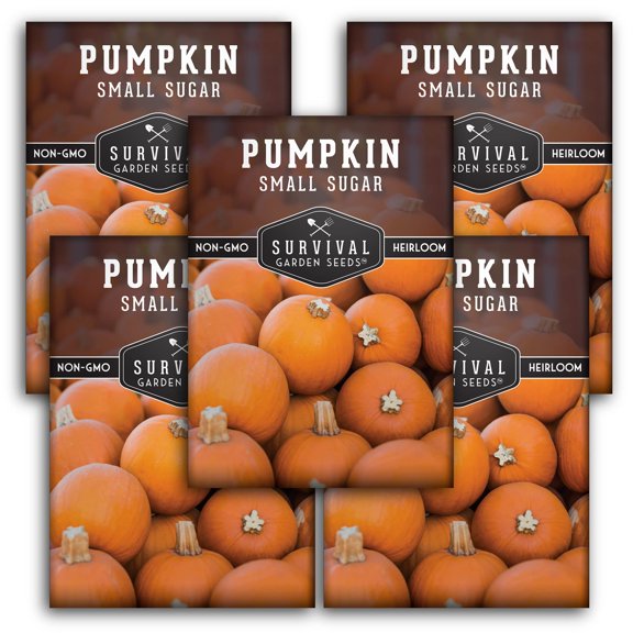 5 Packs Small Sugar Pumpkin Seeds - Non-GMO Heirloom Full Sun Annual Vegetable