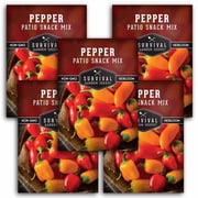 Snack Mix Patio Pepper Seeds - Rainbow Lunchbox Peppers - Annual Full Sun - 5 Packs