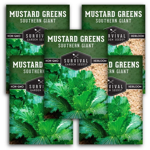5 Packs Southern Giant Mustard Greens Seed - Non-GMO Heirloom Full Sun Biennial Vegetable