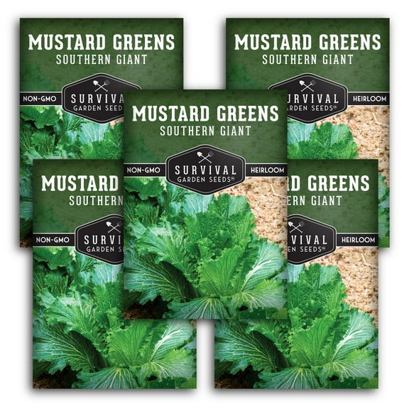 5 Packs Southern Giant Mustard Greens Seeds - Non-GMO Heirloom Full Sun Biennial Vegetable