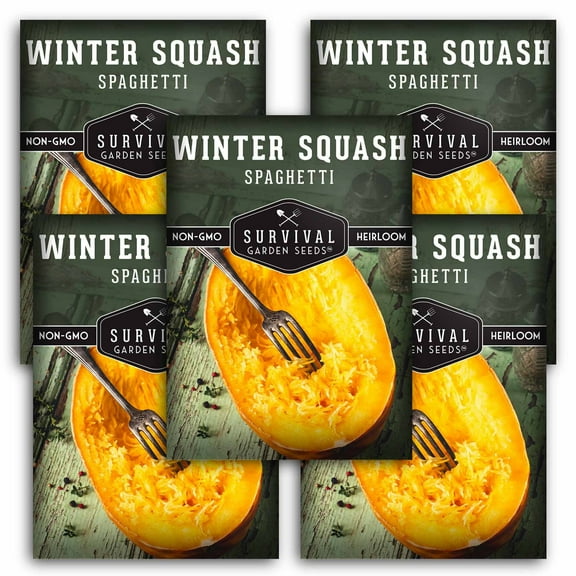 5 packs Spaghetti Squash Seed - Non-GMO Heirloom Full Sun Annual Vegetable